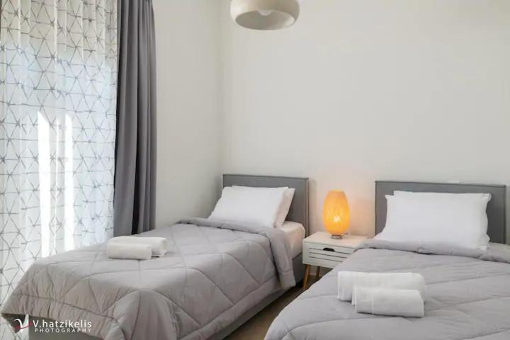 Terpsis Pool Villa Asgourou 외부 사진